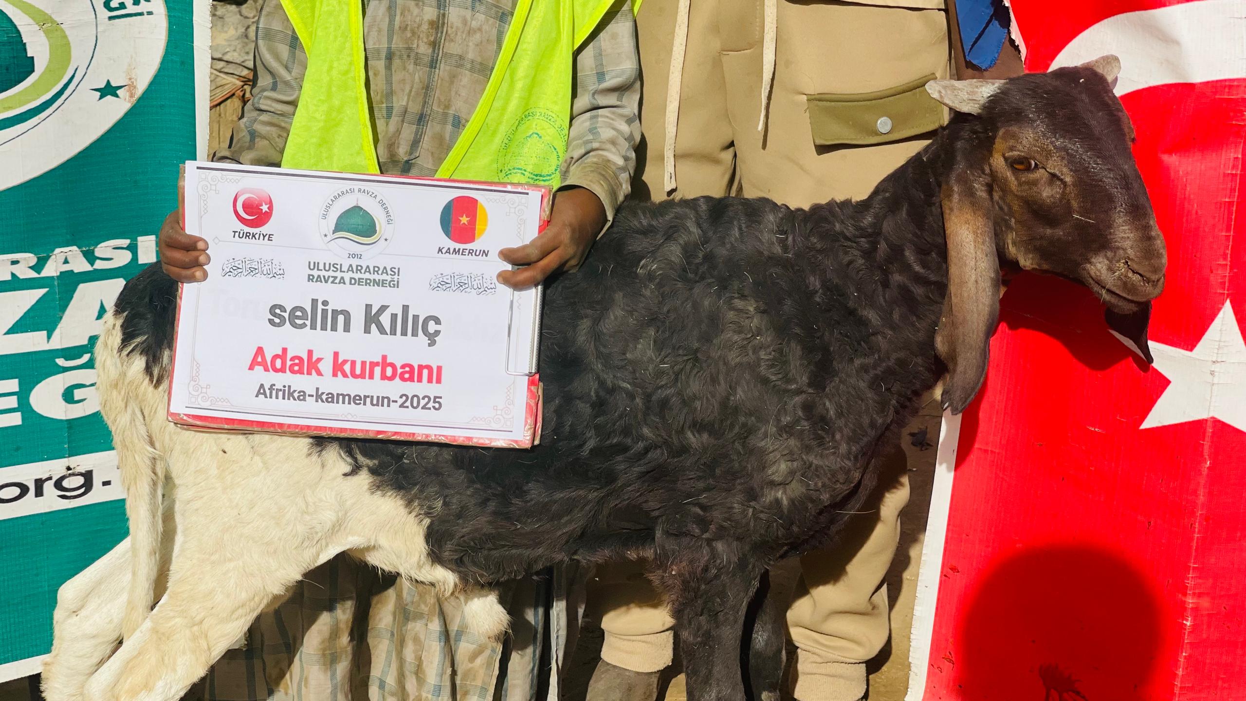 ADAK-AKİKA-ŞÜKÜR-SADAKA-